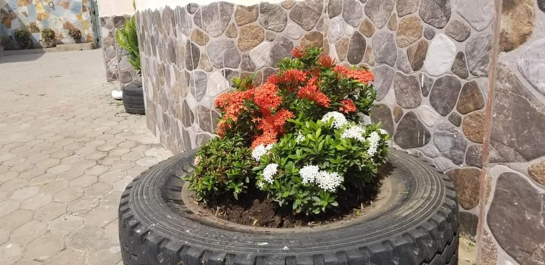 WhatsApp Image 2025-07-15 at 14.59.44