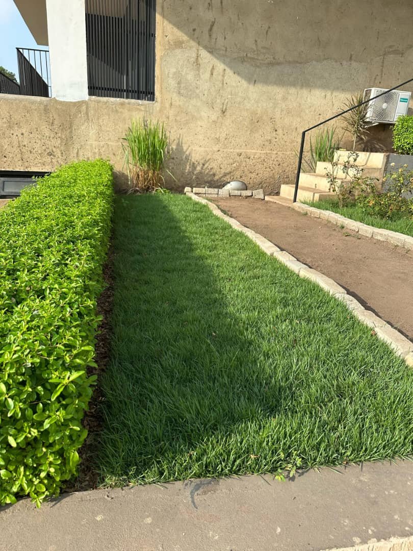 WhatsApp Image 2025-07-15 at 14.59.46