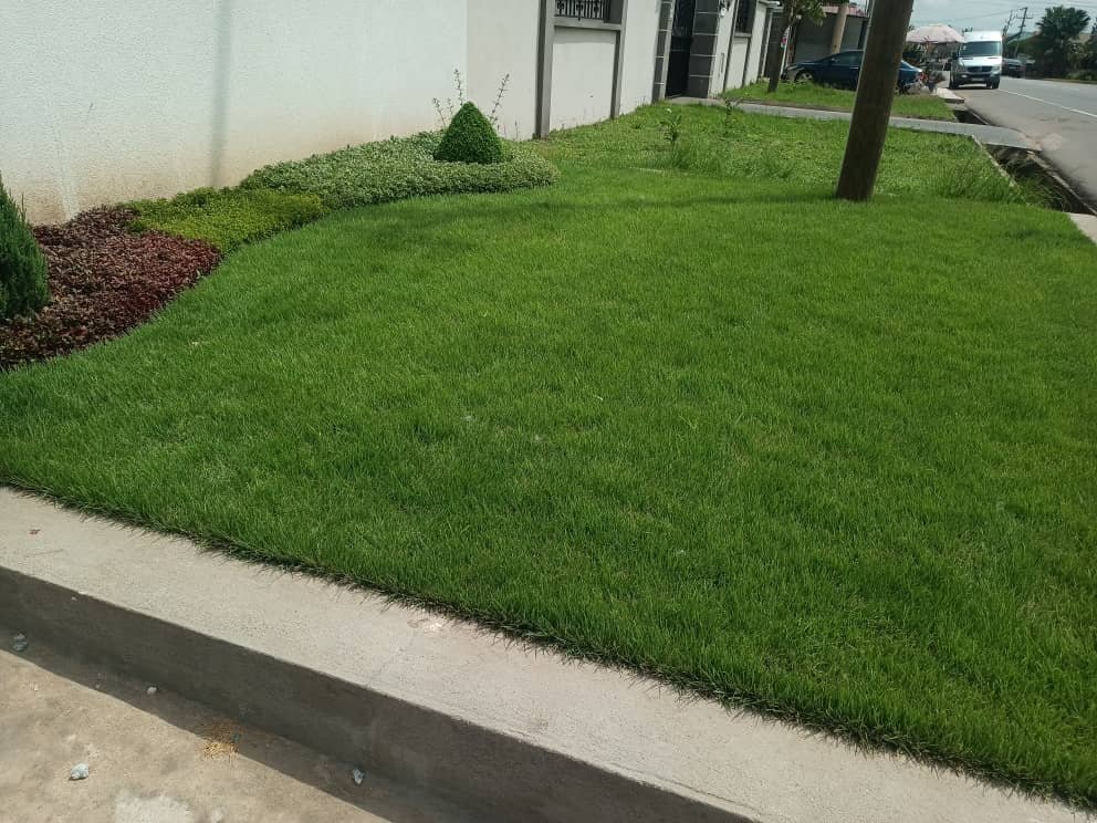 WhatsApp Image 2025-07-15 at 14.59.47