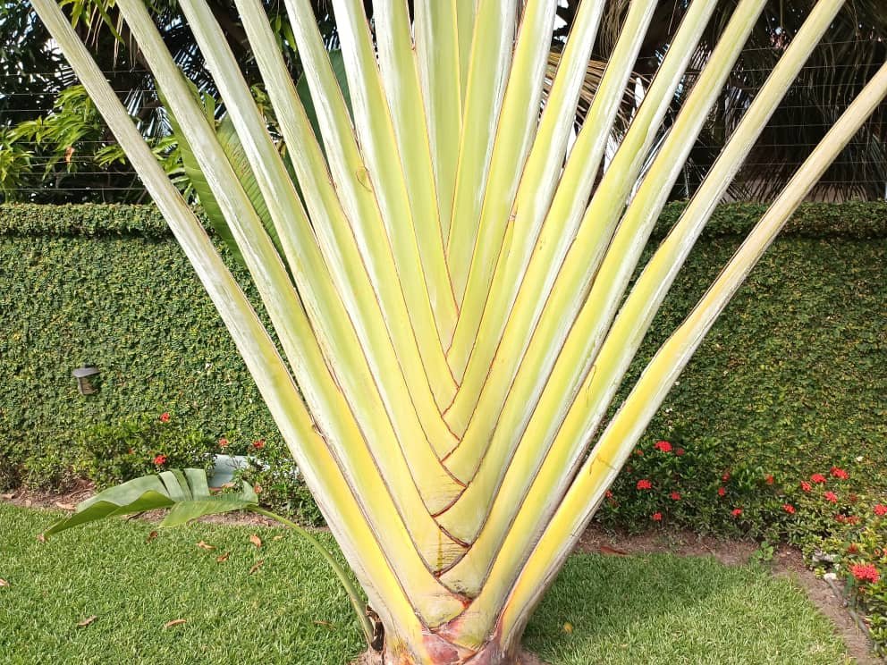 WhatsApp Image 2025-07-15 at 14.59.51