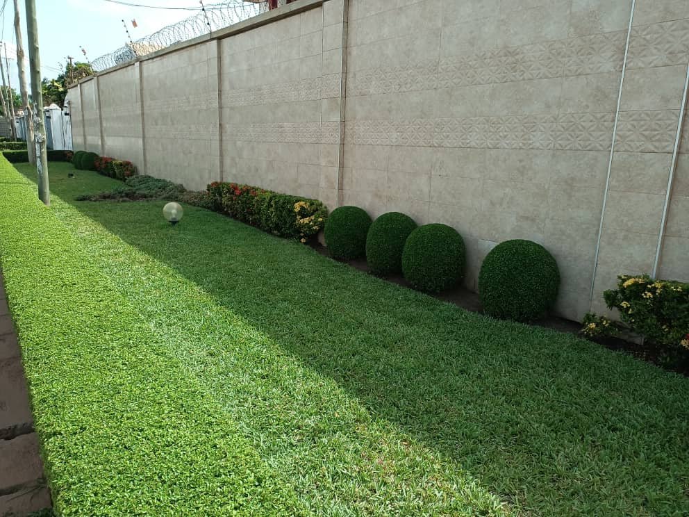 WhatsApp Image 2025-07-15 at 14.59.52 (2)