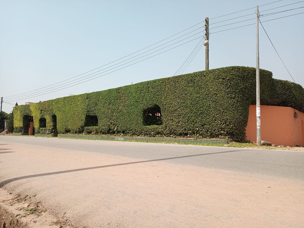 WhatsApp Image 2025-07-15 at 14.59.52