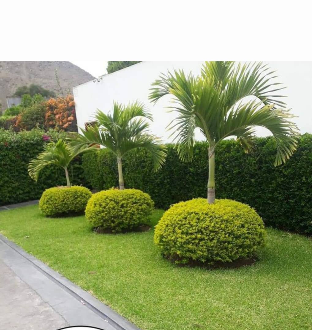 WhatsApp Image 2025-07-15 at 14.59.53 (2)