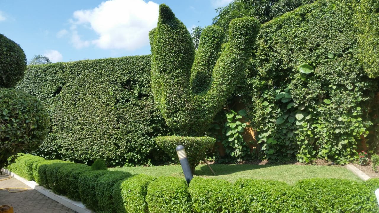 WhatsApp Image 2025-07-15 at 14.59.54 (1)