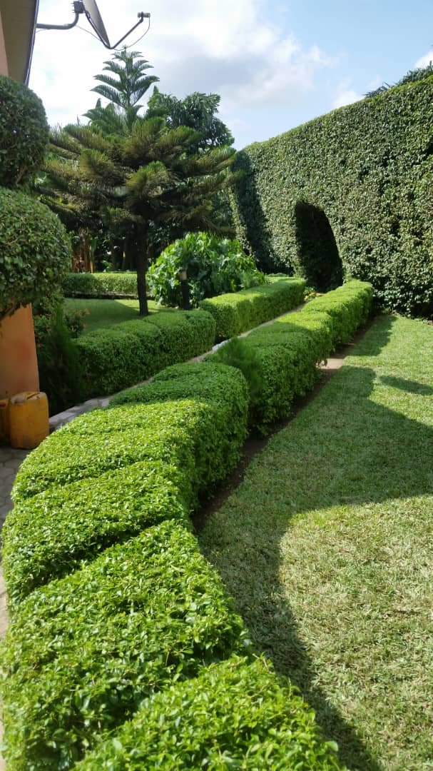 WhatsApp Image 2025-07-15 at 14.59.54