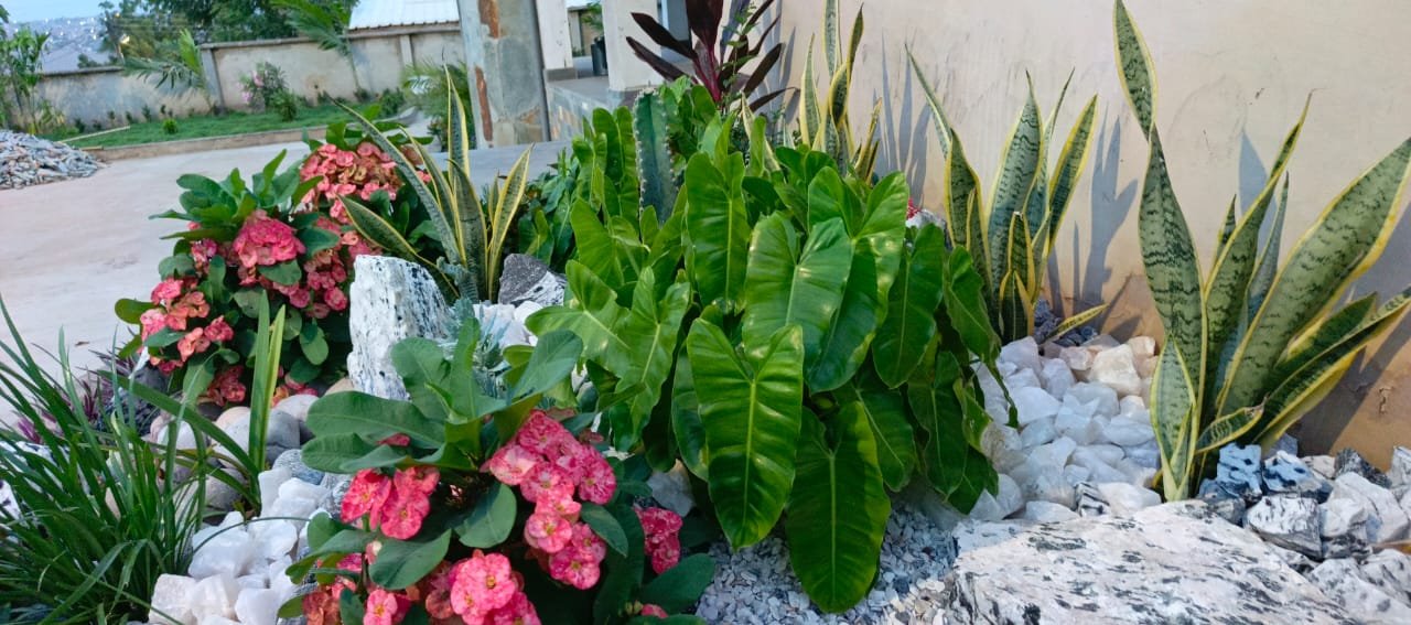 WhatsApp Image 2025-07-15 at 14.59.56 (3)