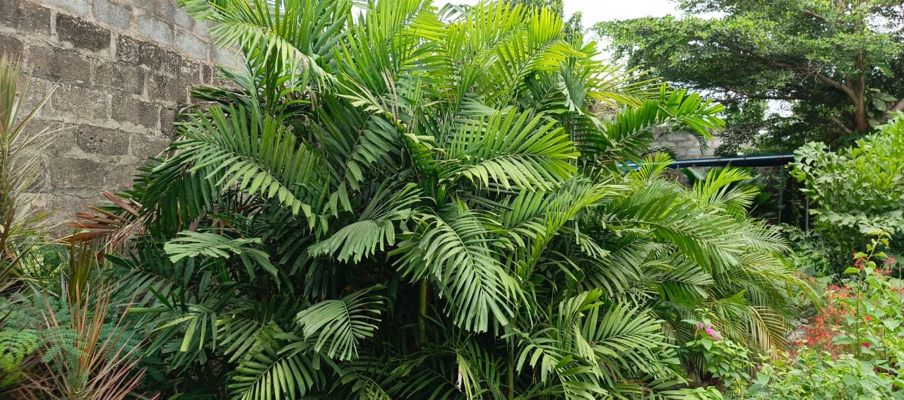 WhatsApp Image 2025-07-15 at 14.59.59 (1)