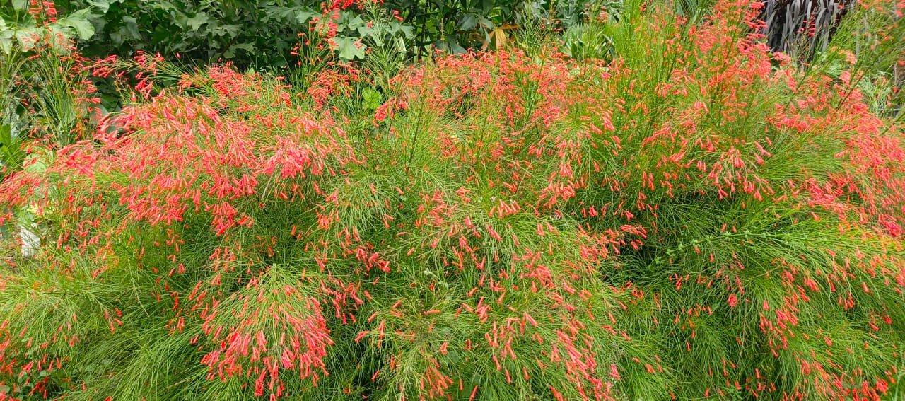 WhatsApp Image 2025-07-15 at 15.00.00 (1)