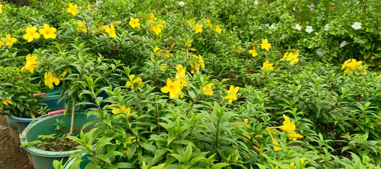 WhatsApp Image 2025-07-15 at 15.00.01 (1)