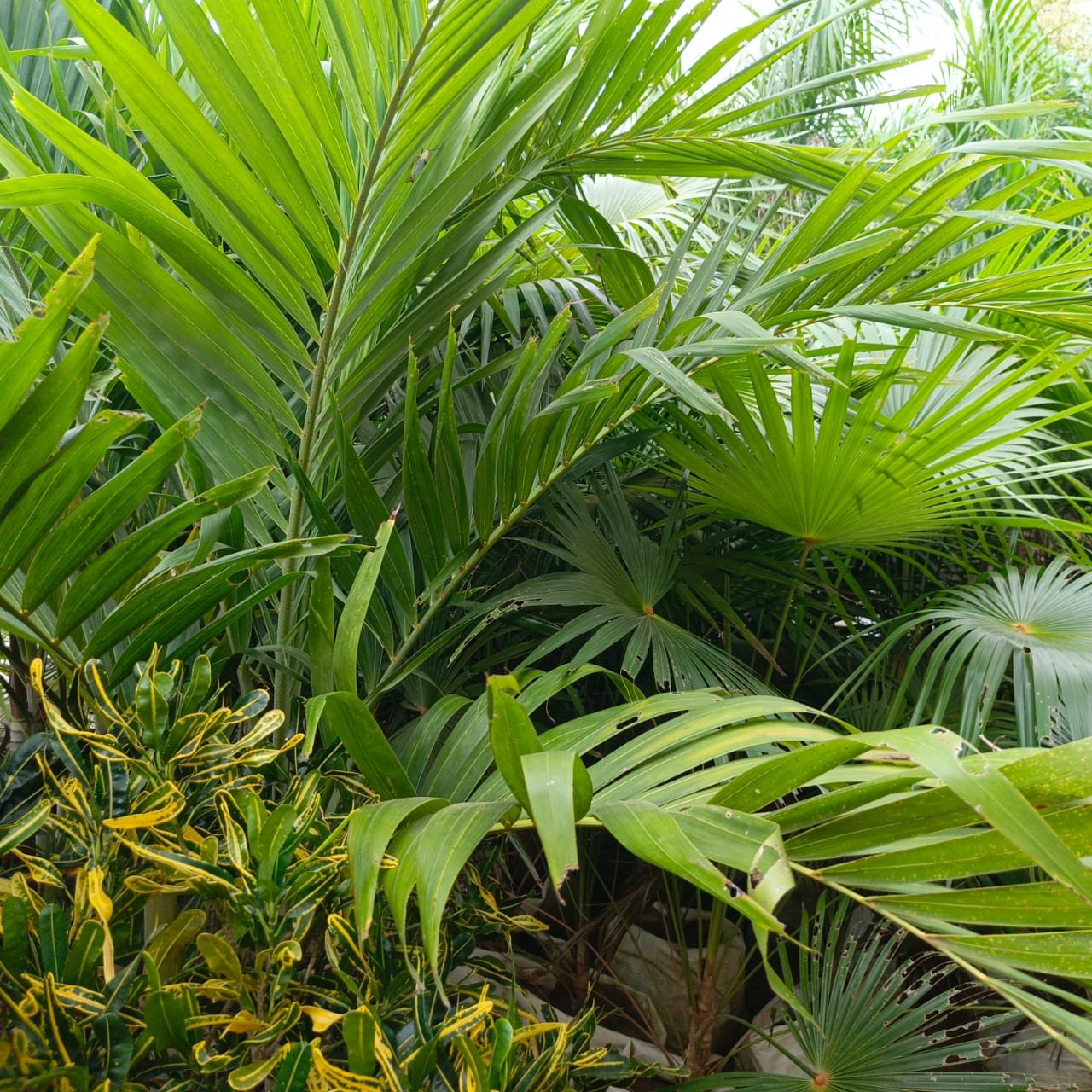 WhatsApp Image 2025-07-15 at 15.00.01 (2)